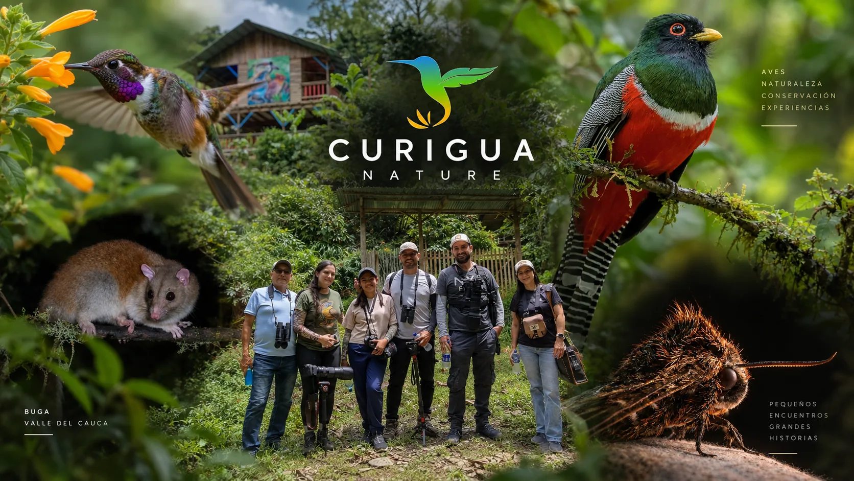 Composición de biodiversidad, visitantes y paisaje de Curigua Nature