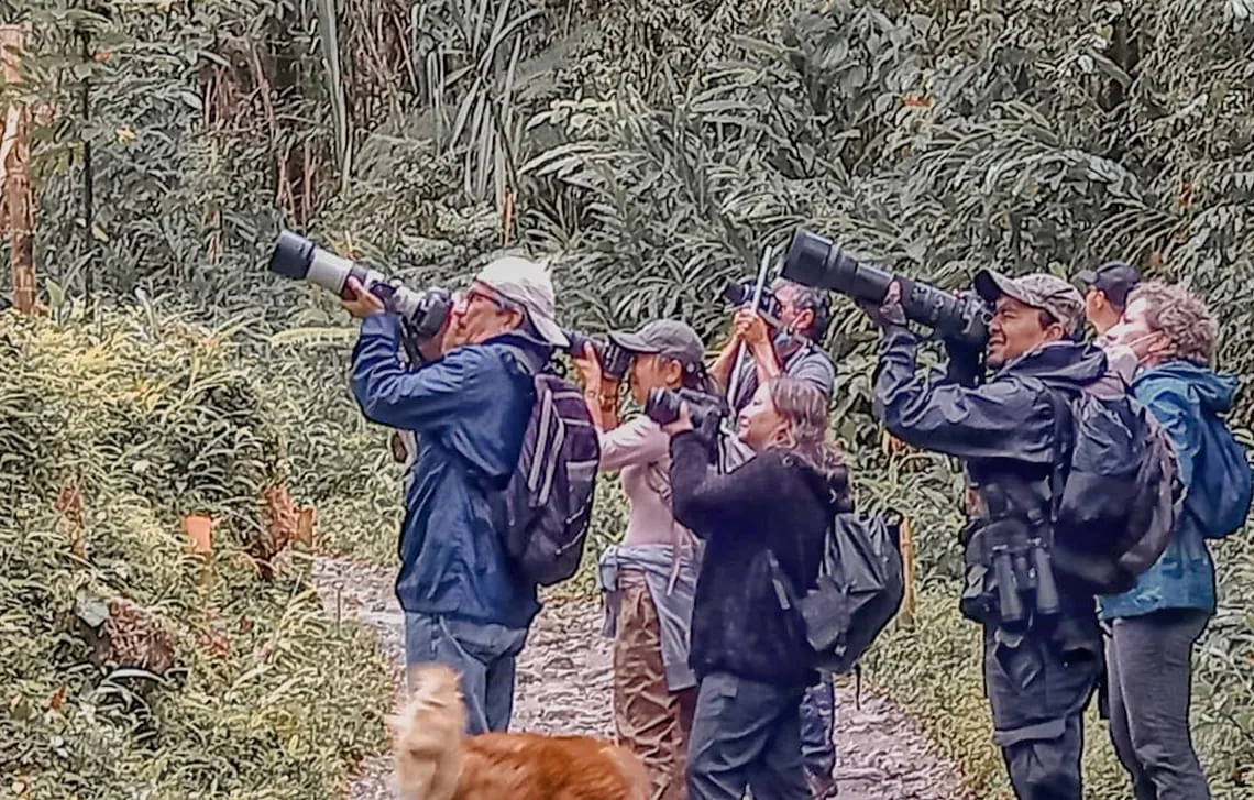 Fotógrafos de naturaleza observando fauna en Curigua Nature