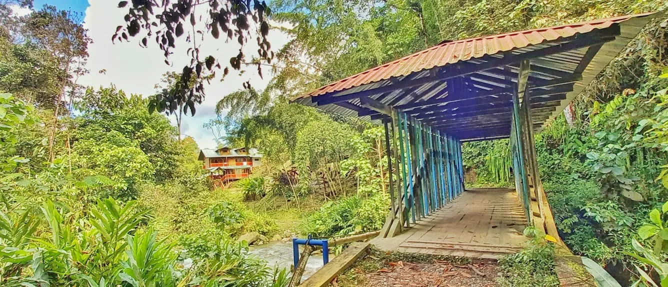 Puente y acceso dentro del entorno natural de Curigua Nature